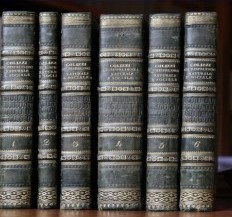 Avv. Ottavia Malagoli