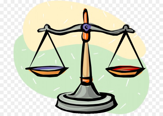 Avv. Veronica Grillo